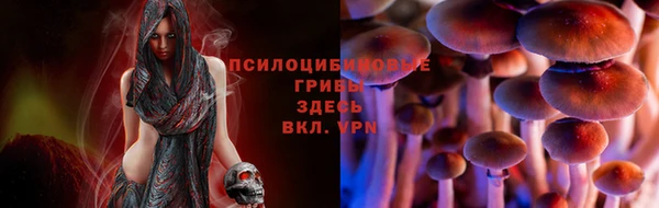 ешки Алексеевка