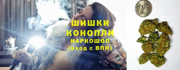 дмт Алзамай