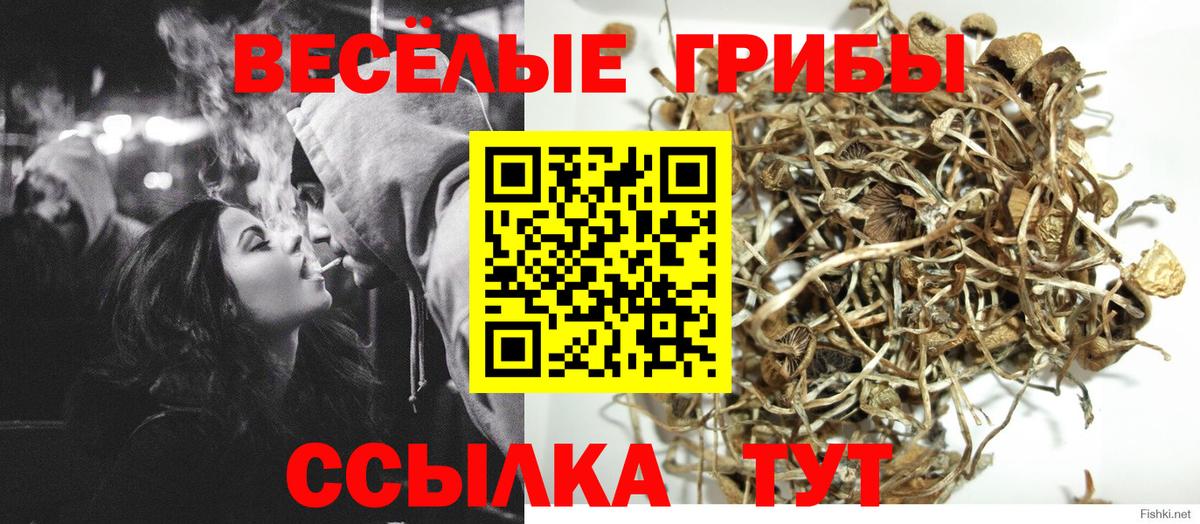 цена   Галлюциногенные грибы прущие грибы  Вход с VPN  Псилоцибиновые грибы GOLDEN TEACHER  Конаково 